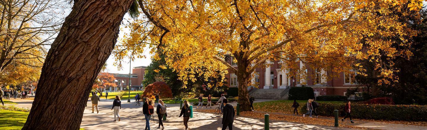 13th Ave near Johnson Hall, fall trees