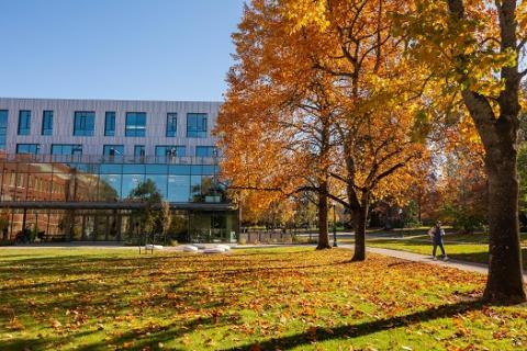 Tykeson Hall with fall trees