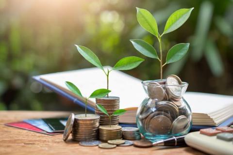 coins with small plant, book, and calculator